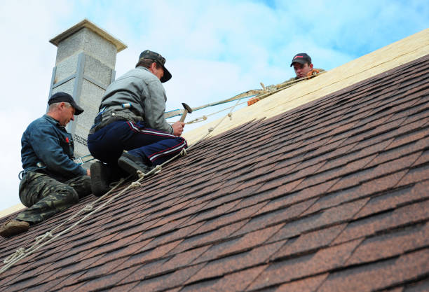 Best Roof Gutter Cleaning  in White Castle, LA